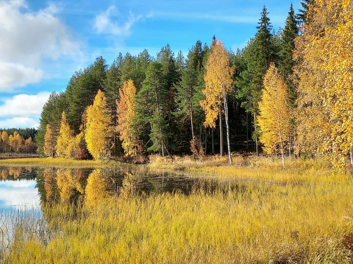 Sirius Sieri, Log-cottage By The Rovaniemi